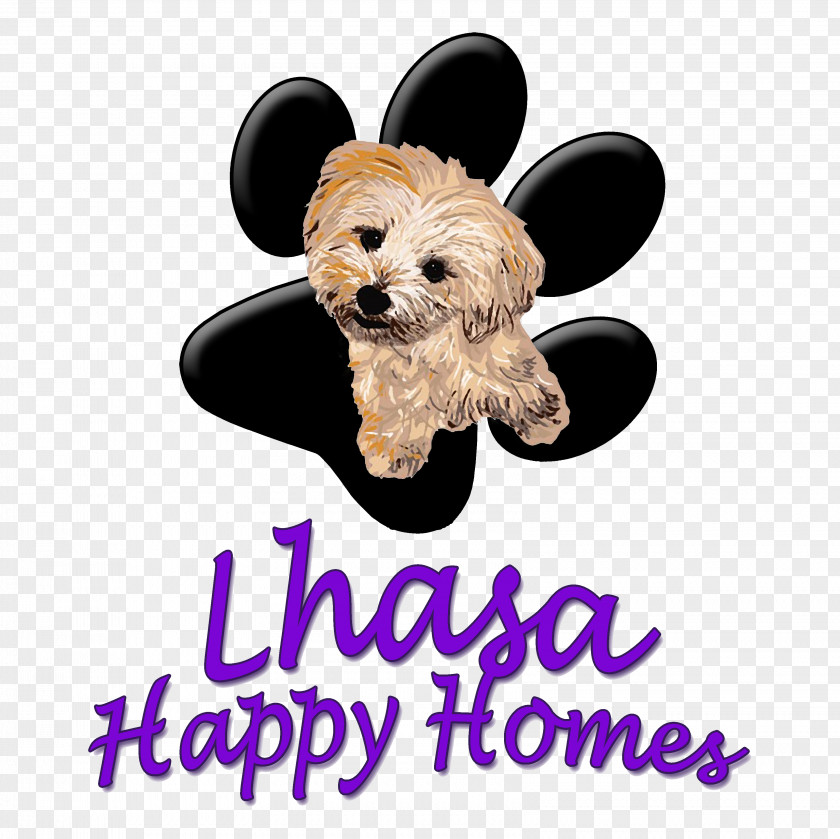 Maltese Poodle Mix Puppy Love Dog Breed Building PNG