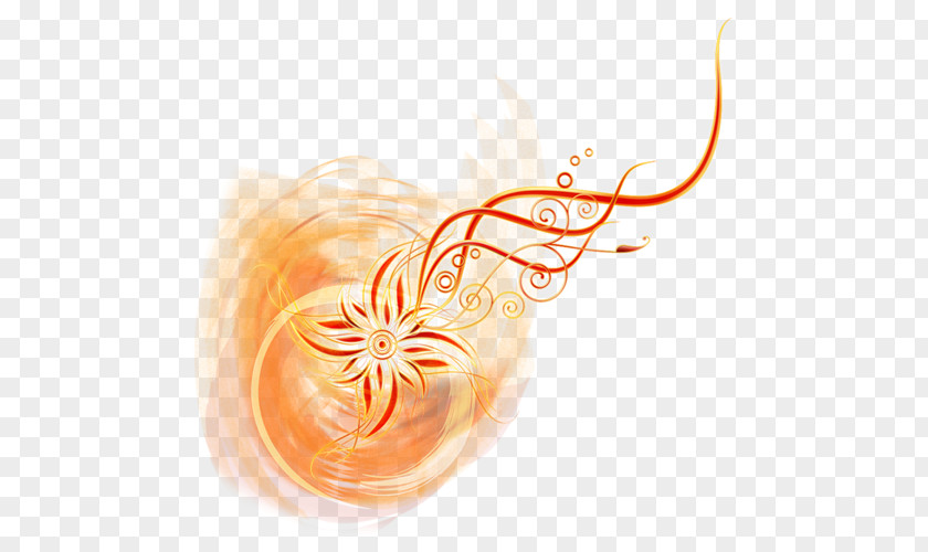 Orange Blossom Clip Art PNG