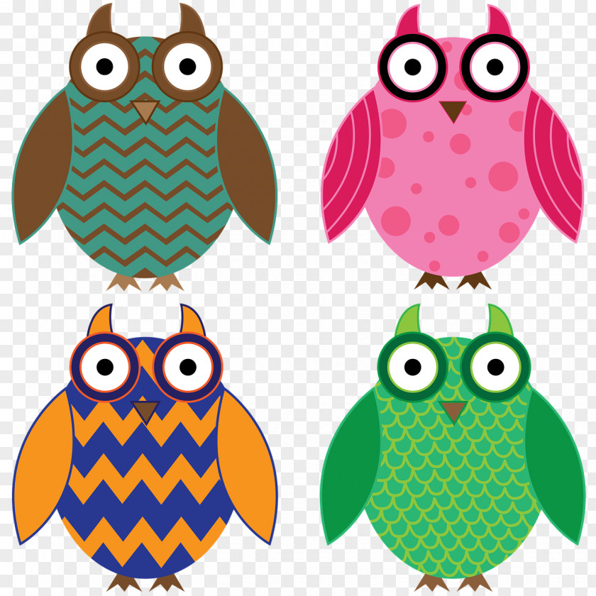 Owls Bird Owl Animal PNG