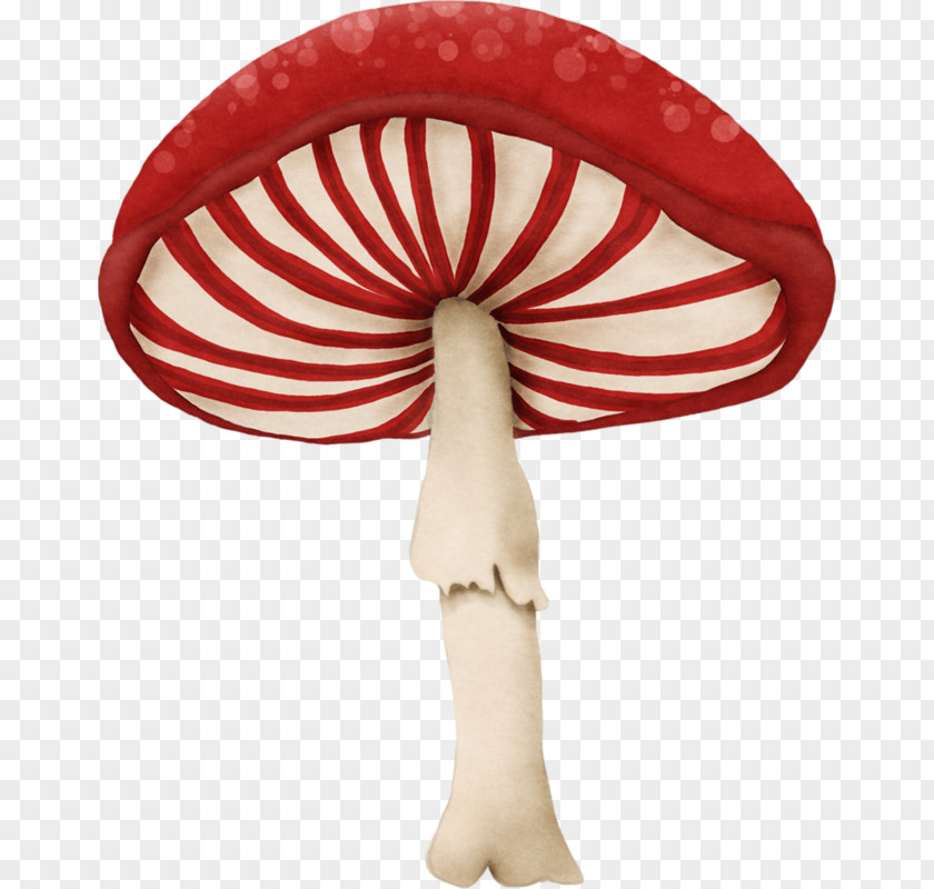 Wonderland Mushroom Fungus Red Clip Art PNG