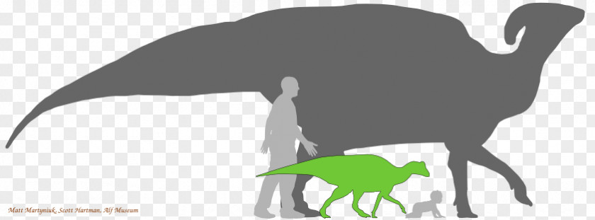 Dinosaur Parasaurolophus Hadrosaurus Lambeosaurus Size PNG