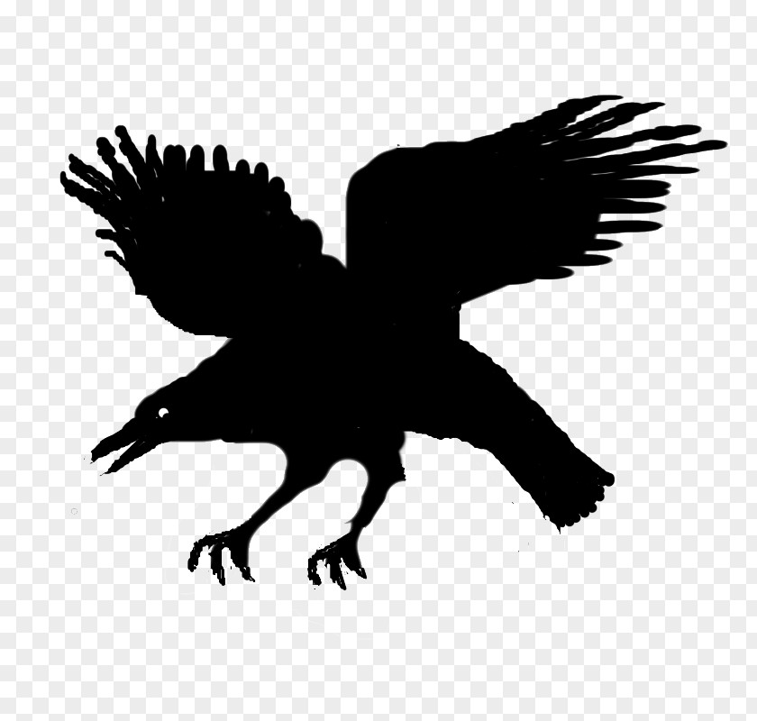 Eagle Silhouette Character Beak PNG