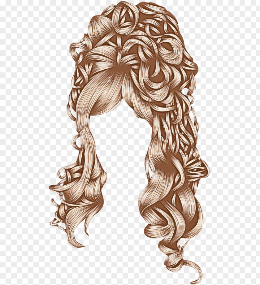 Hair Wig Hairstyle Coloring Long PNG