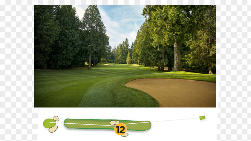 Womens Pga Championship Golf Clubs Course Lawn PNG