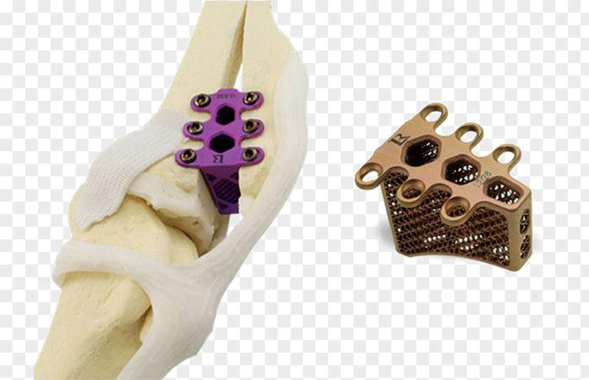 3d Tooth Dog 3D Printing Veterinarian Surgery PNG