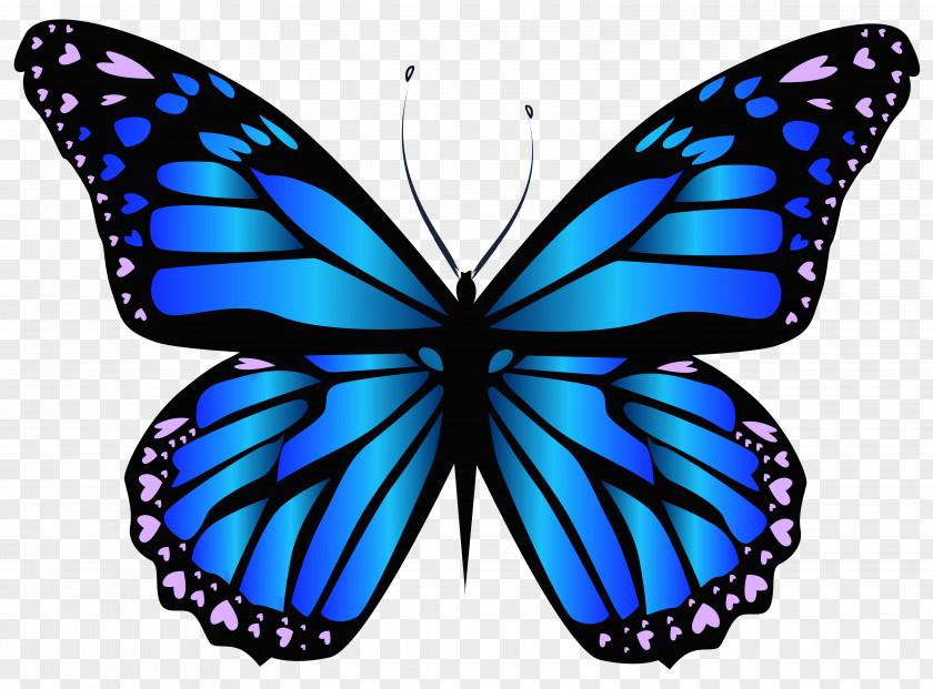 Blue Butterfly Clipar Image Purple Clip Art PNG