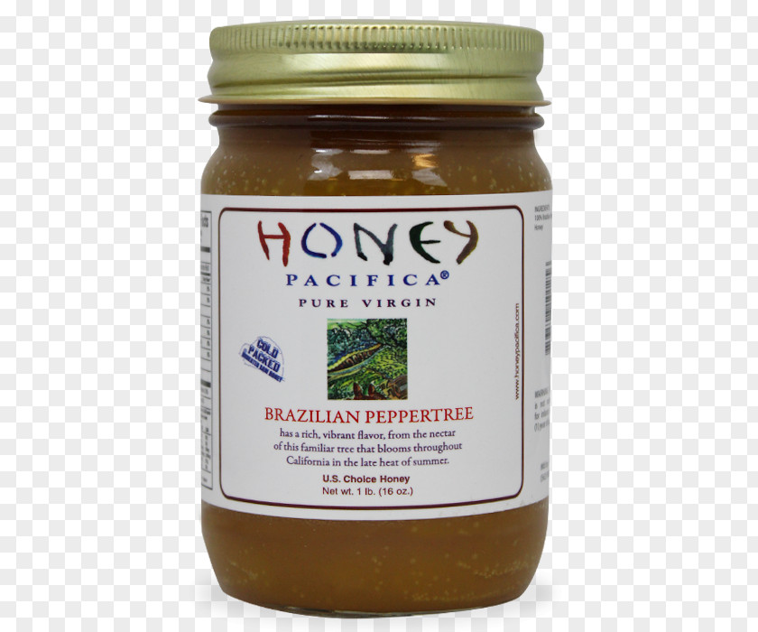 Brazil Nut Varicose Veins Condiment Honey Pacifica Co Telangiectasia PNG