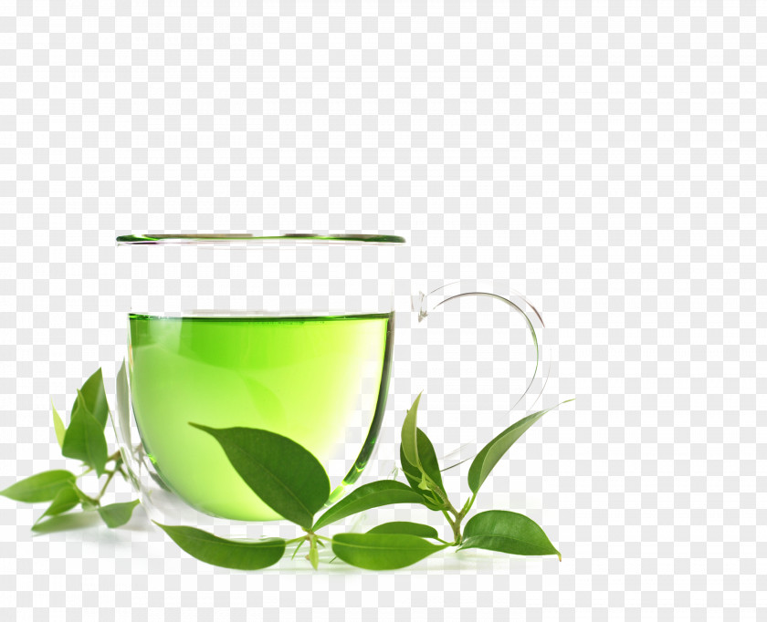 Cups And Green Leaves On Wood Tea Organic Food White Oolong PNG
