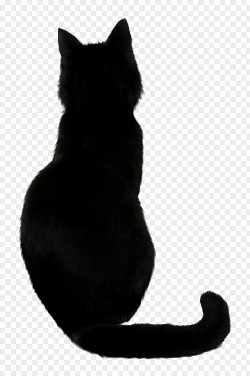 Black Cat Savannah Kitten Clip Art PNG