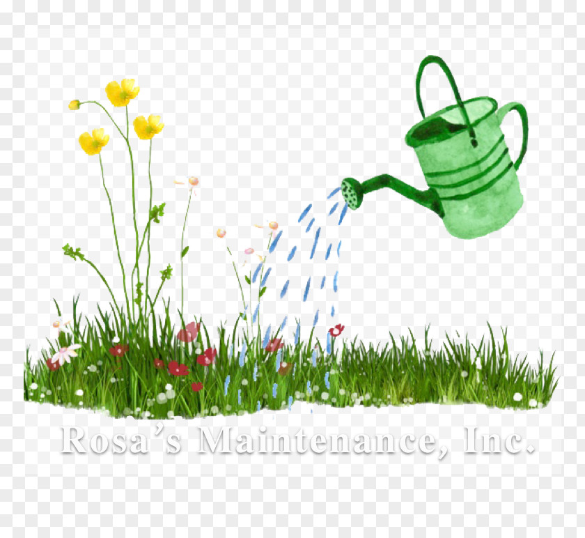 Clean Monday Watering Cans Garden Irrigation Sprinkler Clip Art PNG