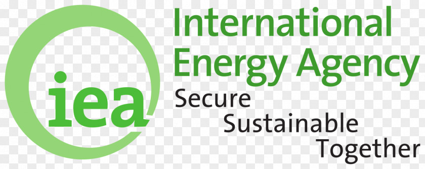 Energy International Agency Renewable Technology Perspectives Petroleum PNG