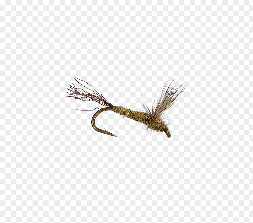 Fly Fishing Holly Flies Artificial Dobsonflies George Daniel PNG