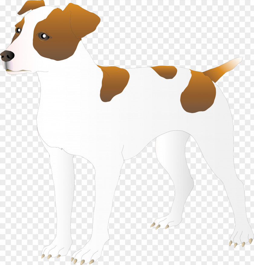 Dog Breed Puppy Canidae Companion PNG