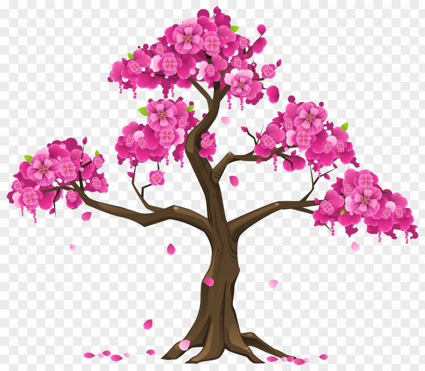 Flower Tree Cherry Blossom Branch Clip Art PNG