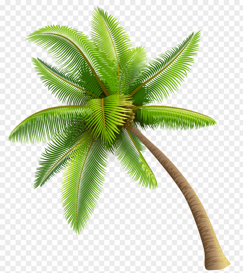 Green Palm Tree Clipart ZoLo Need Somebody (feat. Tory Lanez) Single Walk Away PNG