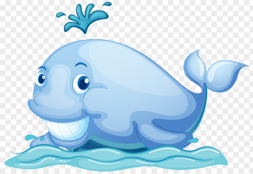 Whale Cartoon Black And White Clip Art Vector Graphics Royalty-free Image Illustration PNG