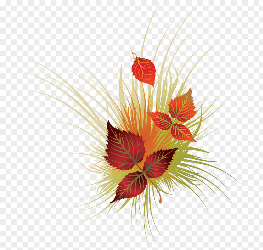 Autumn Vector Graphics Clip Art Image PNG