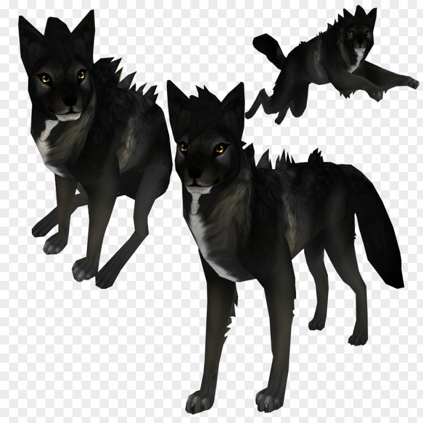 Dog Feral Animal Canidae Black Wolf Pet PNG