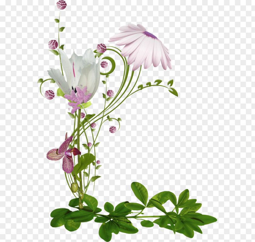 Flower Floral Design Clip Art PNG