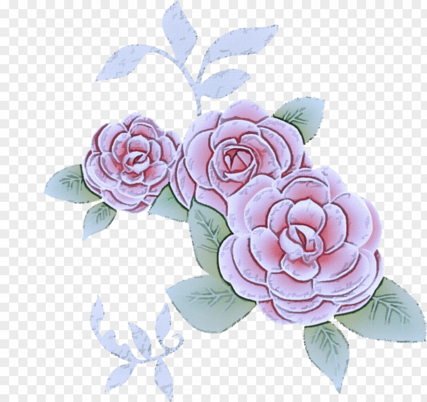 Japanese Camellia Flowering Plant Garden Roses PNG