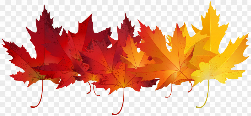 Red Autumn Leaves Transparent Clip Art Image Leaf Color PNG