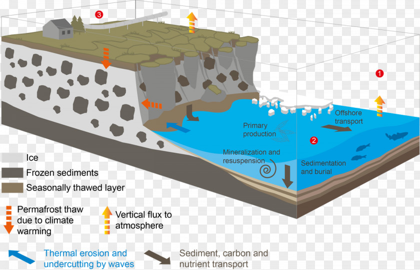 Sea Biological Arctic Coastal Erosion Diagram PNG