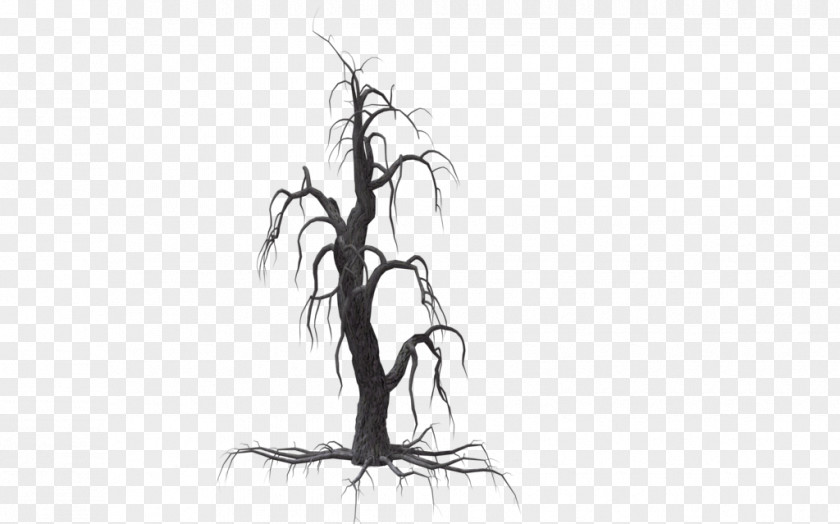 Creepy Tree Drawing Monochrome PNG