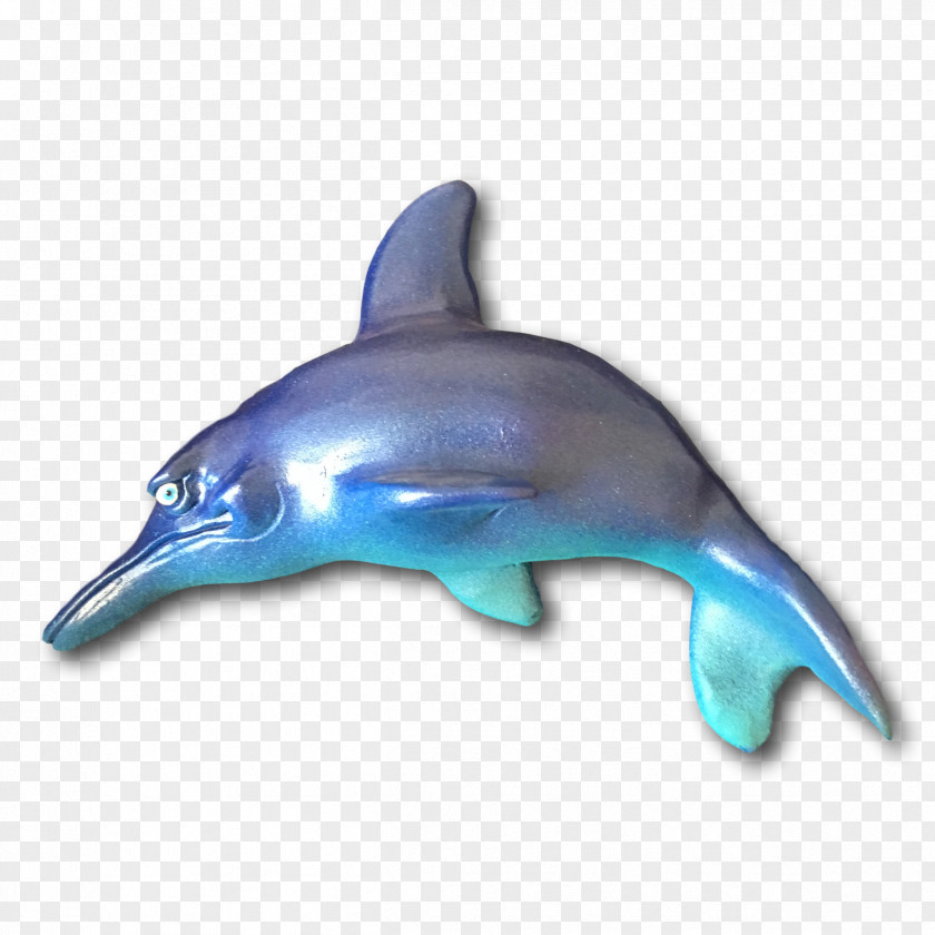 Fish Common Bottlenose Dolphin Short-beaked Rough-toothed Tucuxi PNG