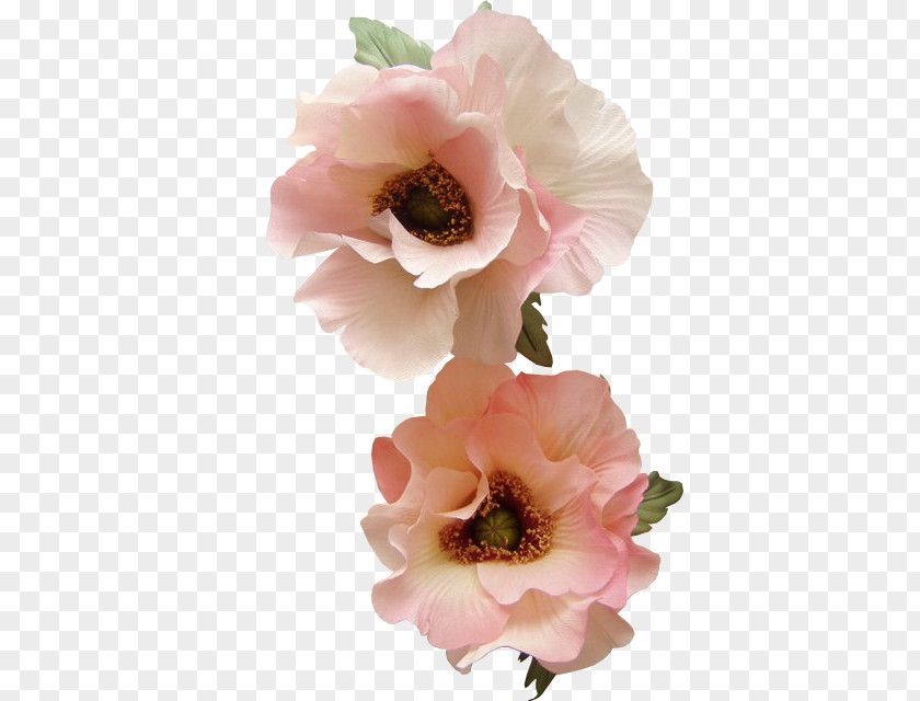 Flower Cabbage Rose Poppy Petal Clip Art PNG