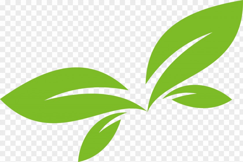 Green Leaf Vector Logo Design Euclidean PNG
