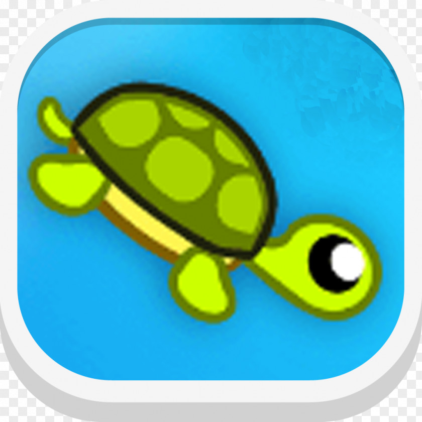 Mahjong Tiles N Dies Sea Turtle Reptile PNG