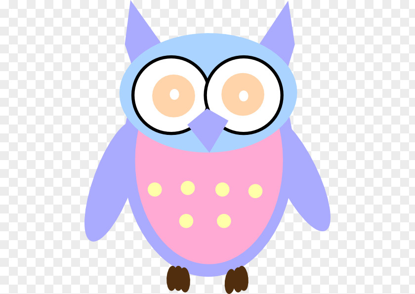 Owl Baby Owls Drawing Cartoon Clip Art PNG