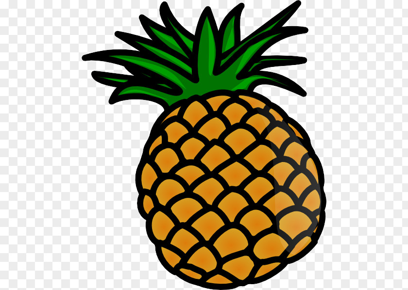 Poales Food Pineapple PNG