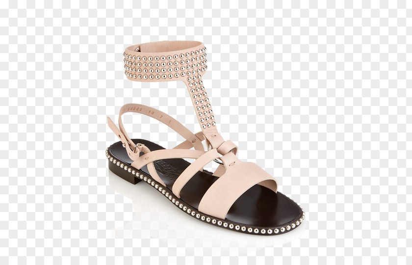 Sandal Shoe PNG