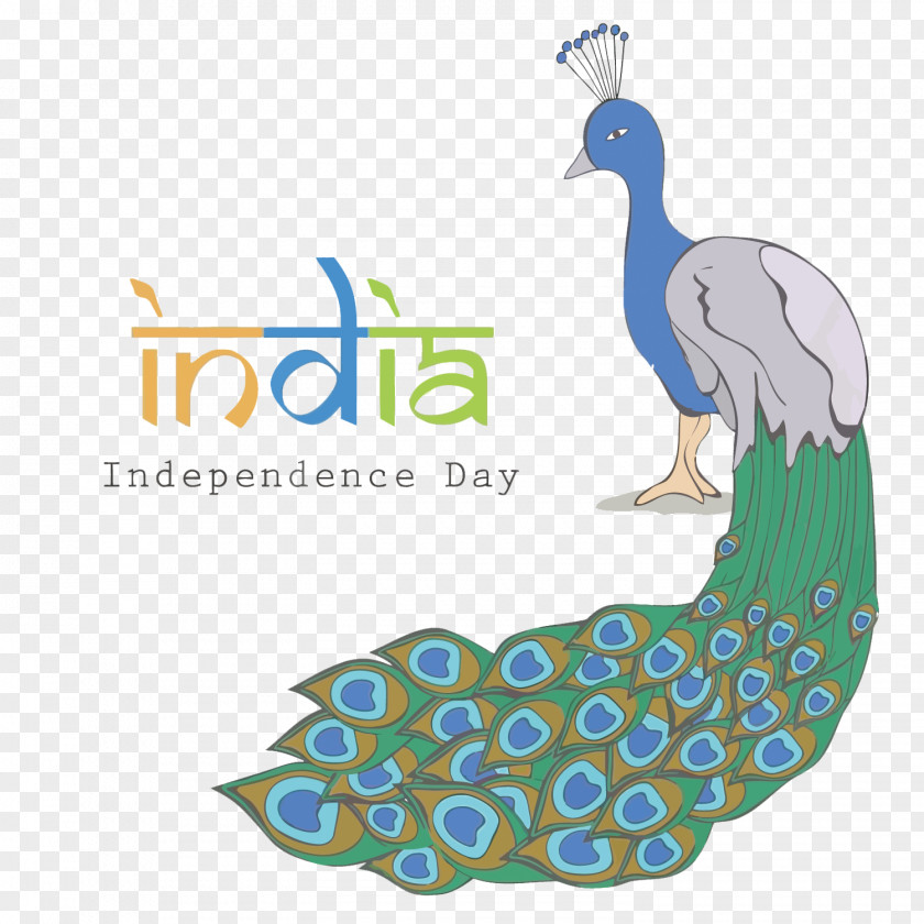 Vector Peacock India Independence Day Indian Asiatic Peafowl Flag Of PNG