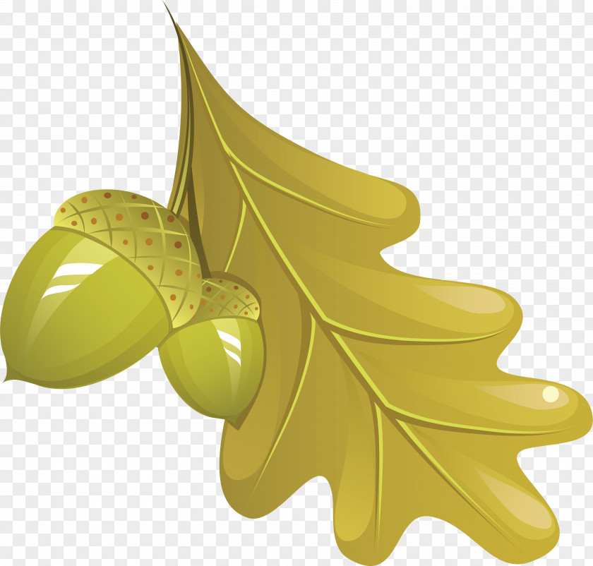 Autumn Leaf Fruit PNG