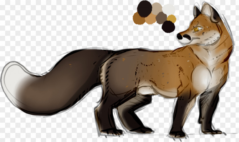Cat Red Fox Fur PNG