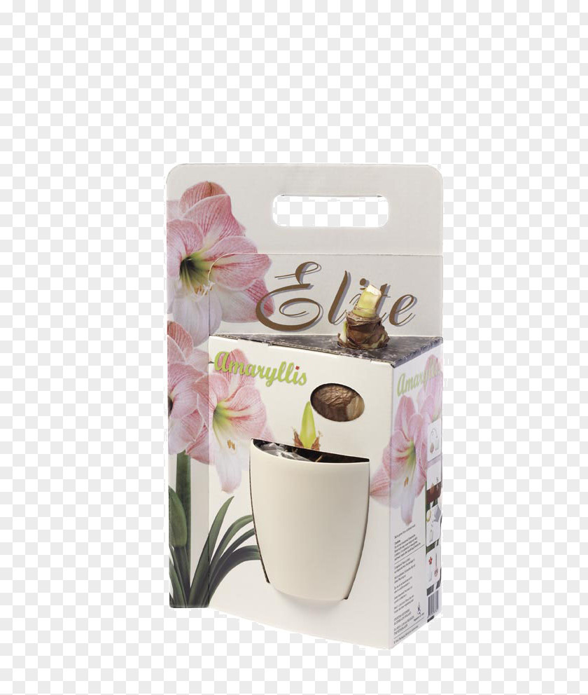 Cup Coffee Cafe Flowerpot PNG