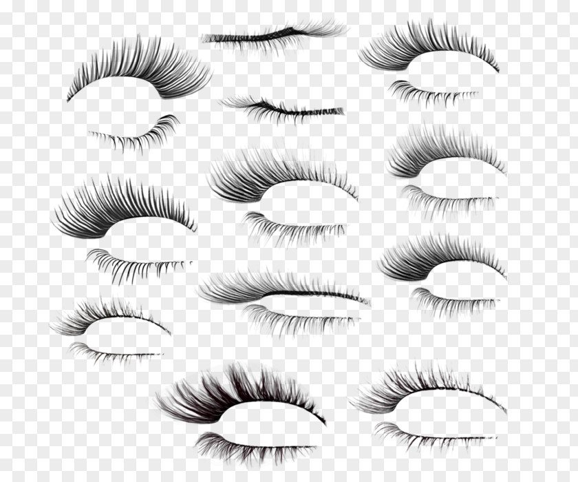 Eyelash Illustration Extensions Eyebrow Beauty PNG