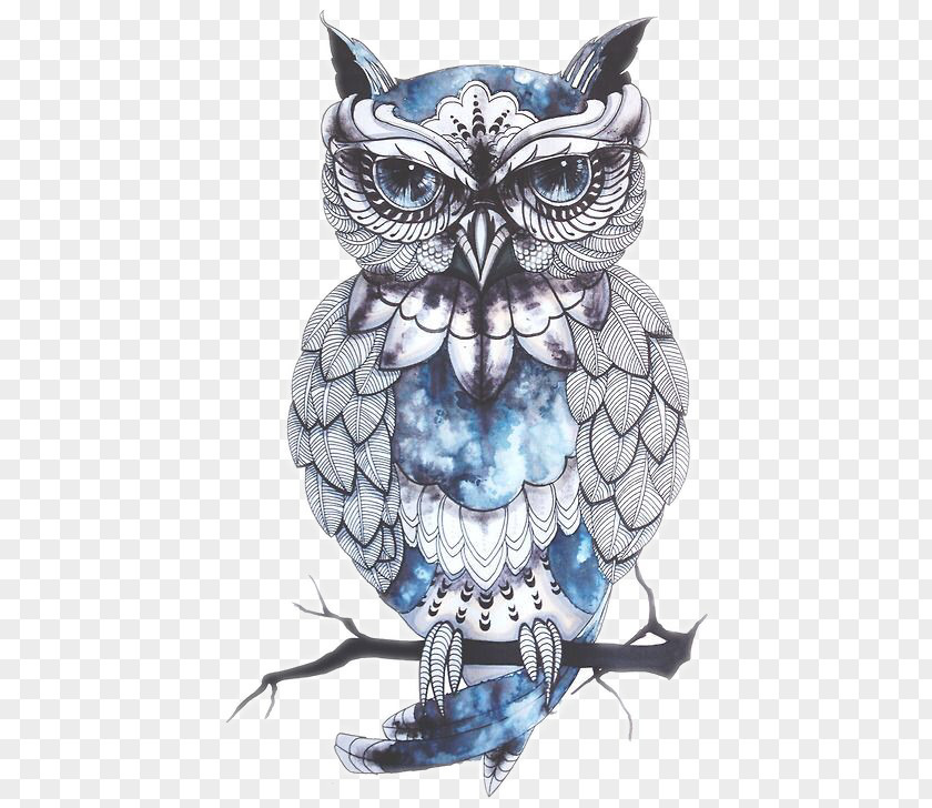 Owl Tattoo Artist Bird Drawing PNG