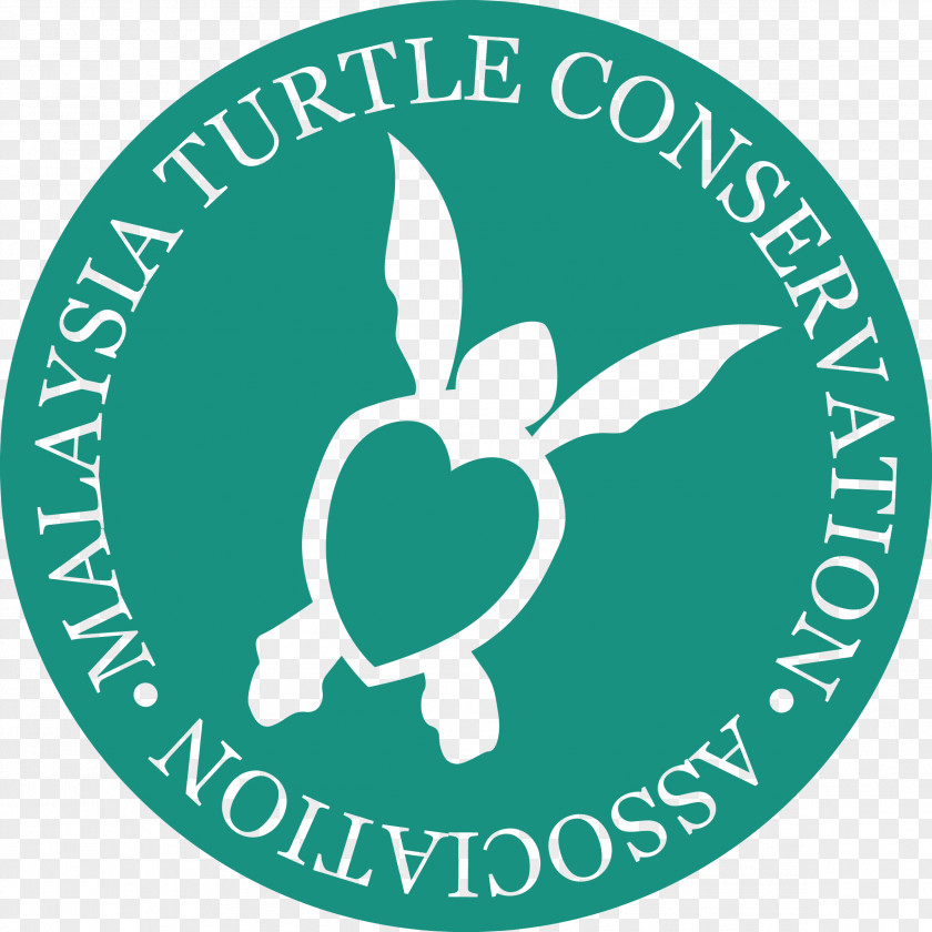 Turtle Sea Conservancy Organization Conservation PNG