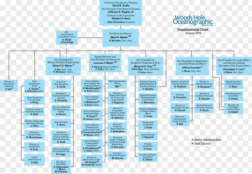 Vision Mission Organizational Chart Structure Corporation PNG