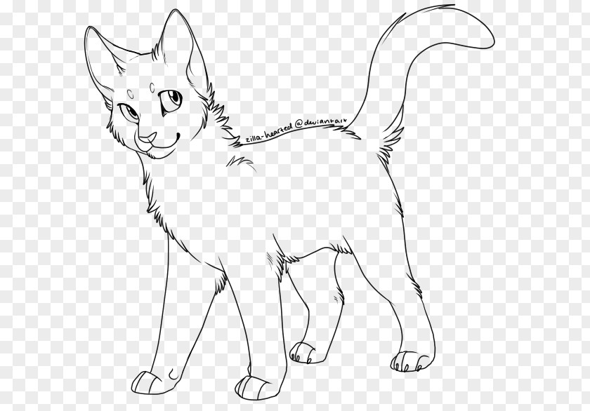 Cat Line Art Kitten Drawing Warriors PNG