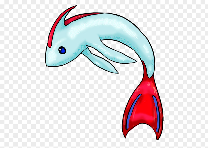 Dolphin Biology Clip Art PNG