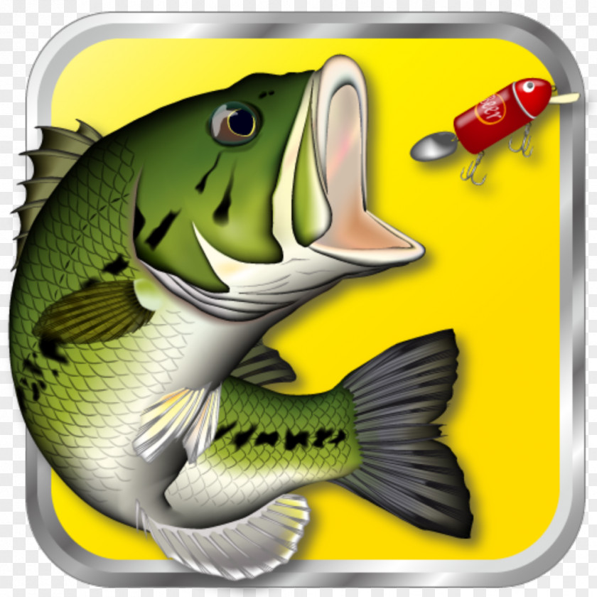 Fishing Virtual Bass 3D Real Games Micropterus Angling PNG