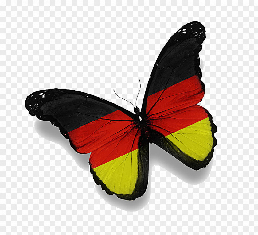 Flag Butterfly Germany Rio De Janeiro Of Saudi Arabia PNG