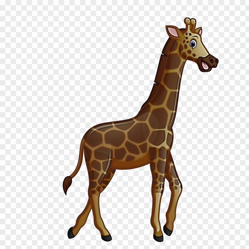 Giraffe Horse Terrestrial Plant Biology Science PNG