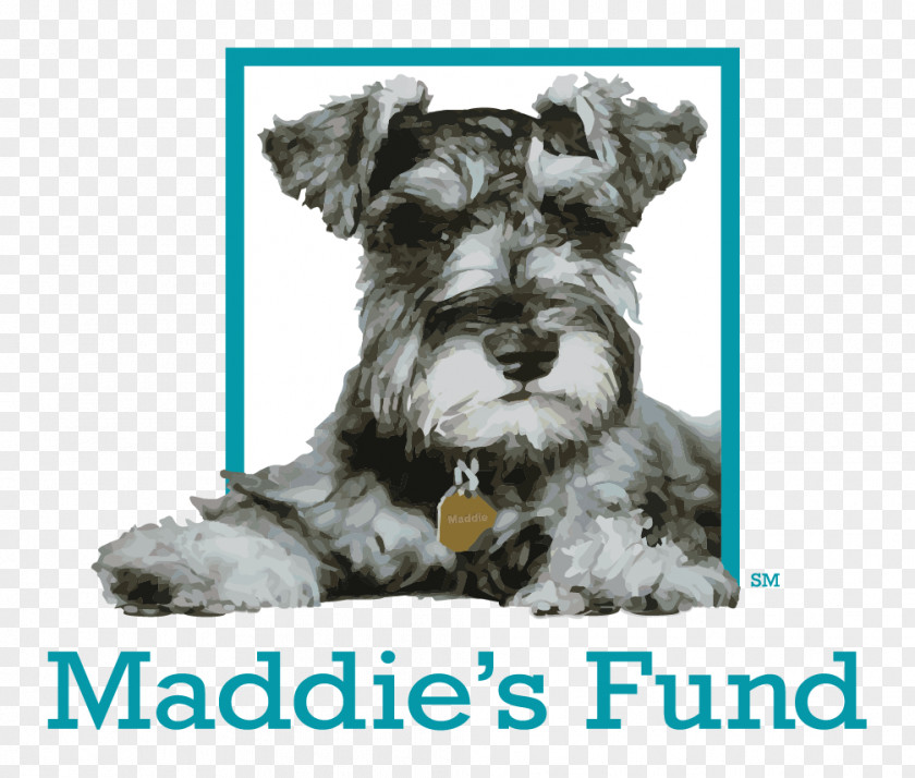 Dog Maddie’s Fund Funding Animal Shelter Grant PNG