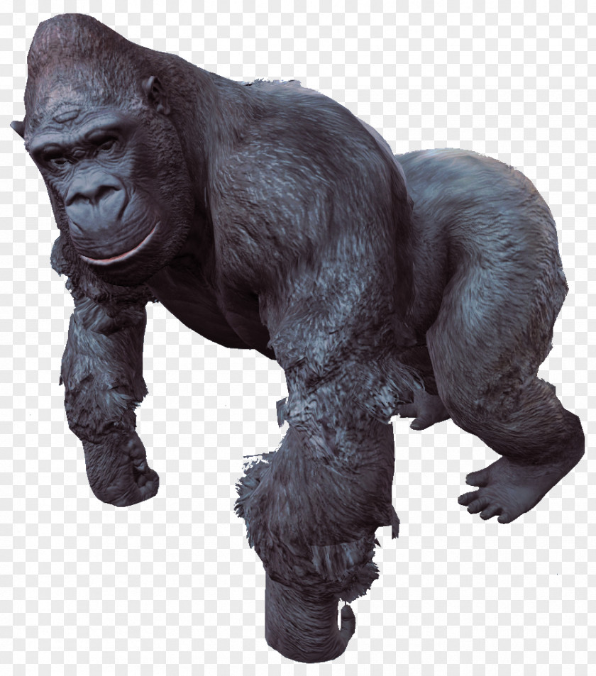Gorilla Fallout 4: Nuka-World Western Eastern Kwita Izina PNG