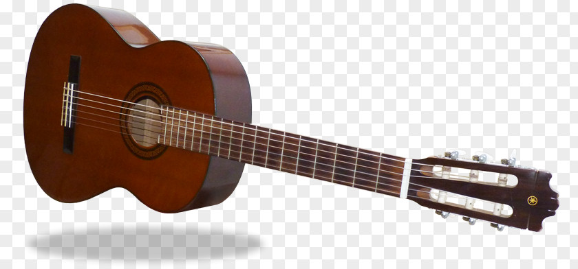 Guitar String Acoustic Cavaquinho Bass Ukulele Tiple PNG